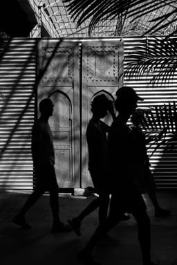 Shadow  - Görsel 1
