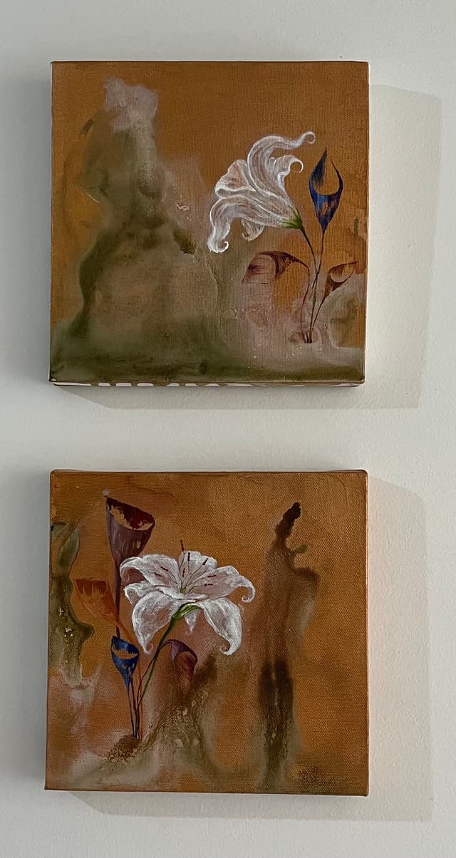 Sinerji Serisi No 34-35