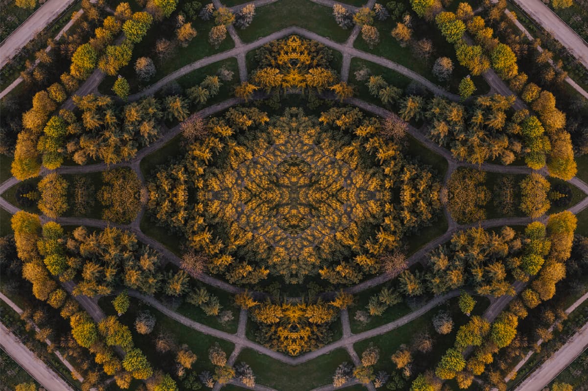 Sonsuz 2