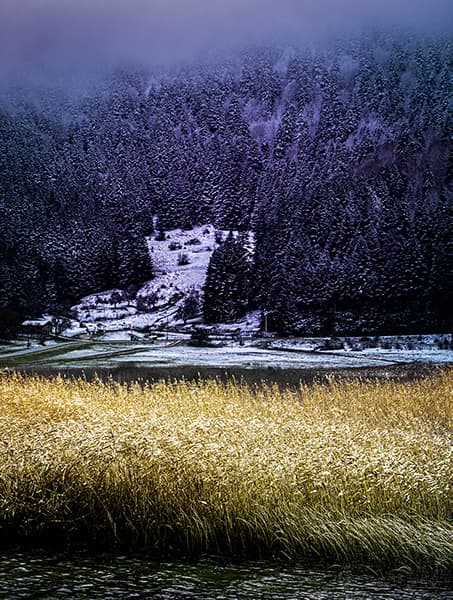 Soğuk