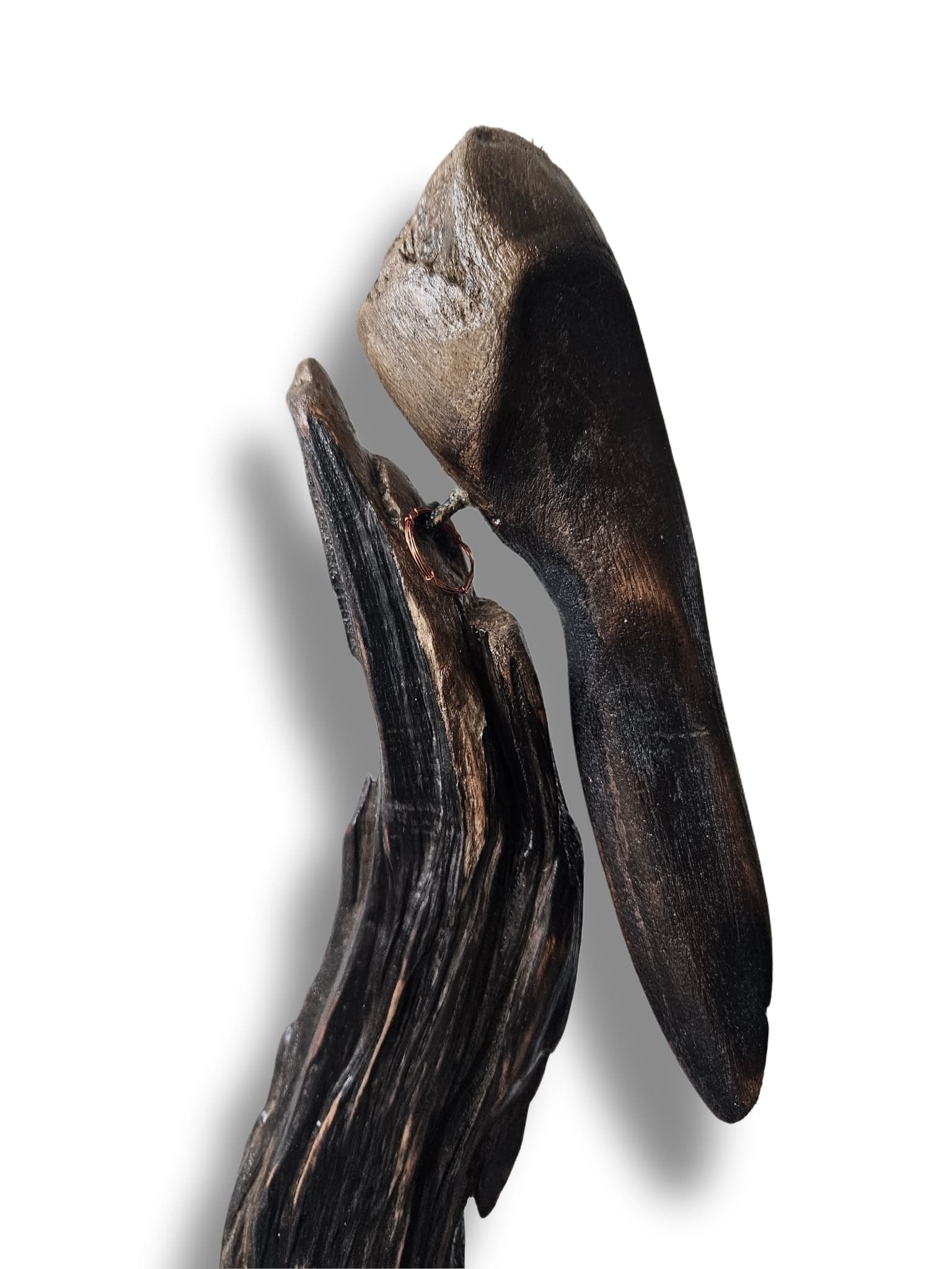 karabatak - Görsel 2