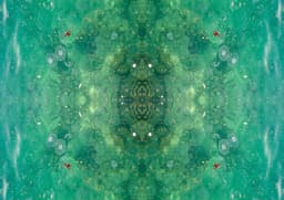 Green 1 - Görsel 1