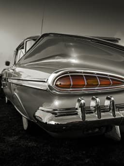 Impala - Görsel 1