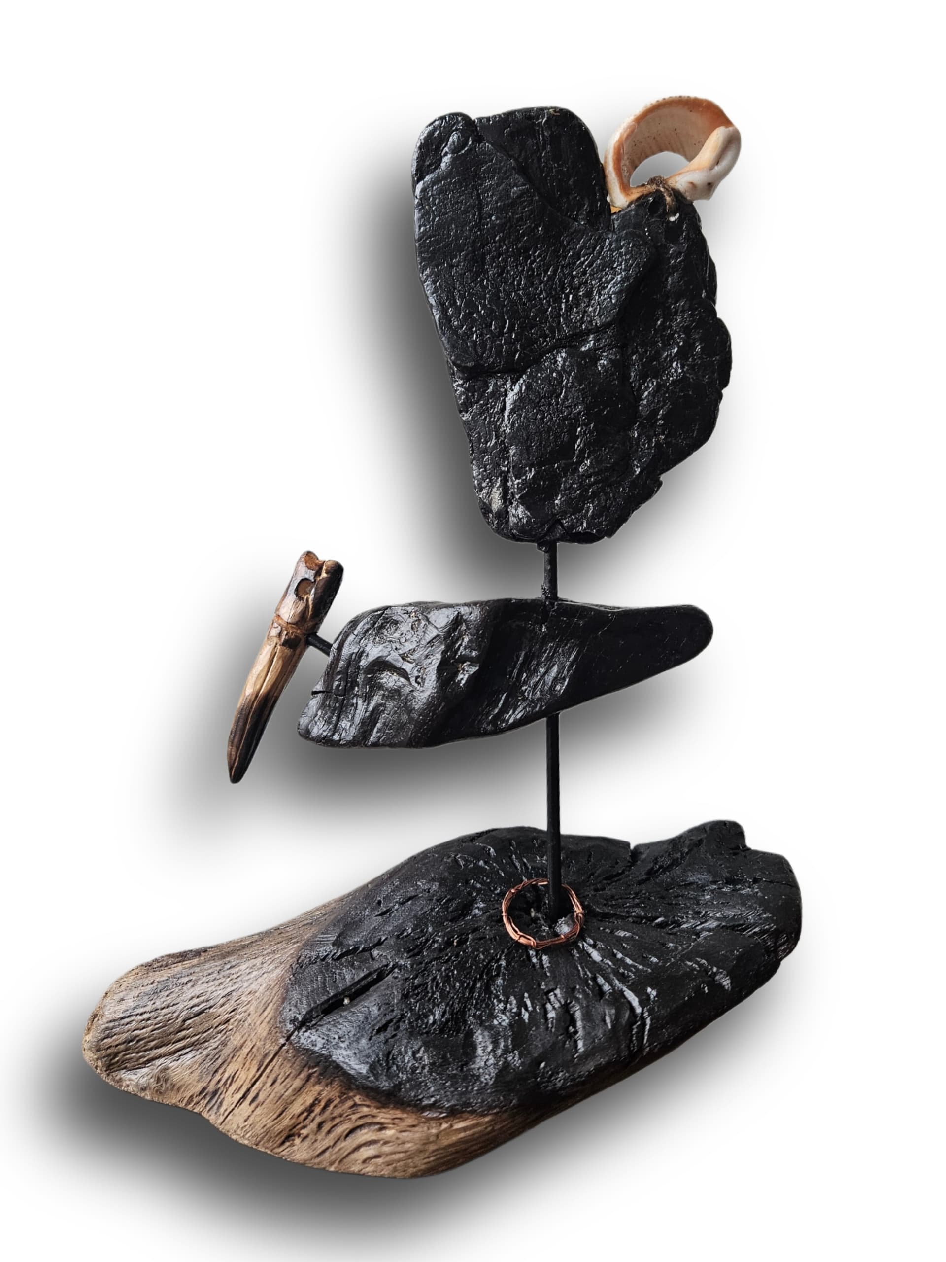 yeke kuşu - Görsel 1