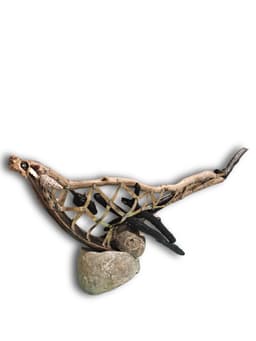 kuluçka - Görsel 2