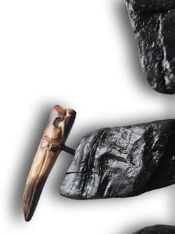 yeke kuşu - Görsel 2