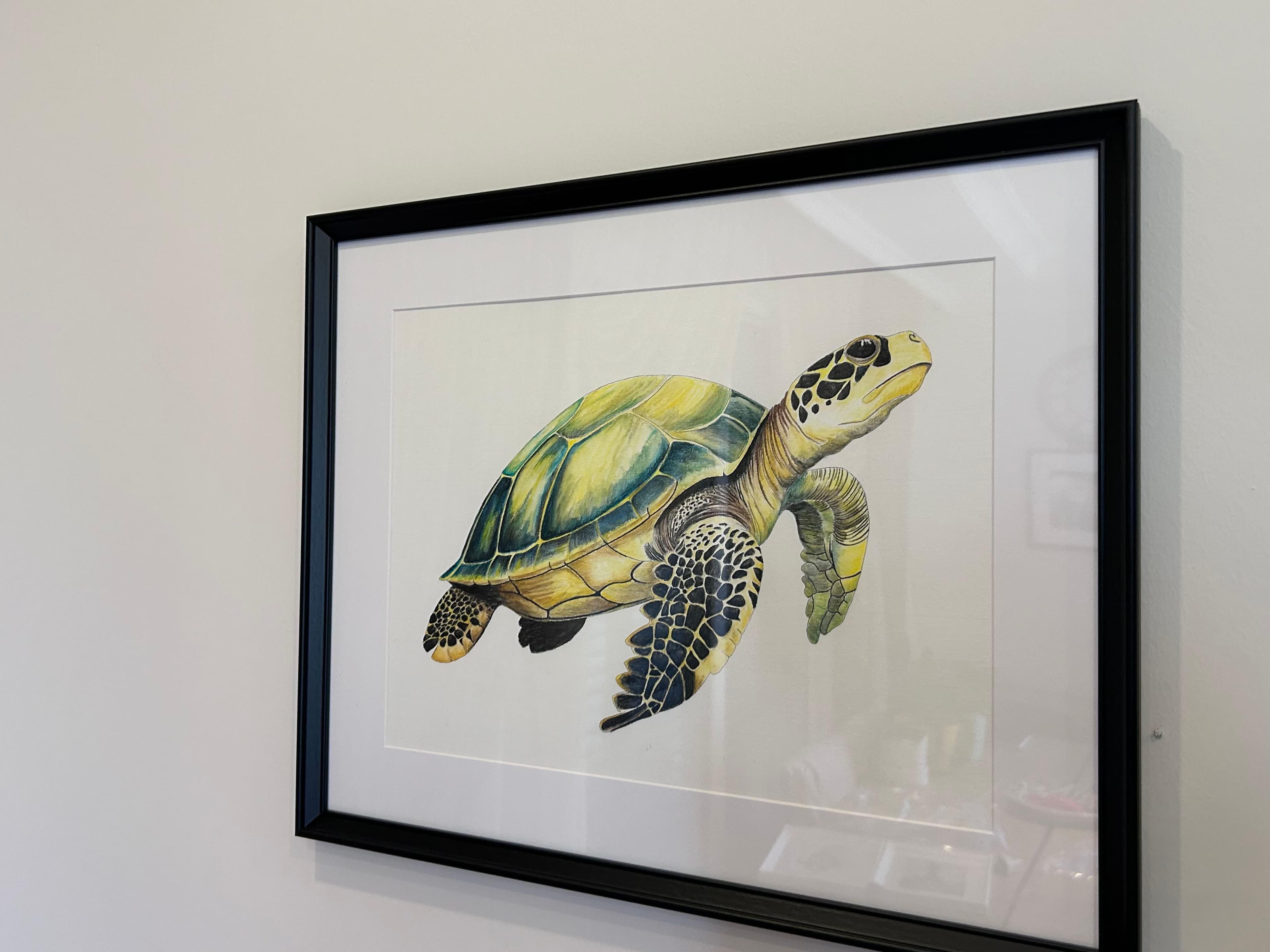 Caretta - Görsel 4