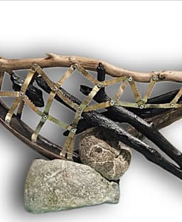 kuluçka - Görsel 3